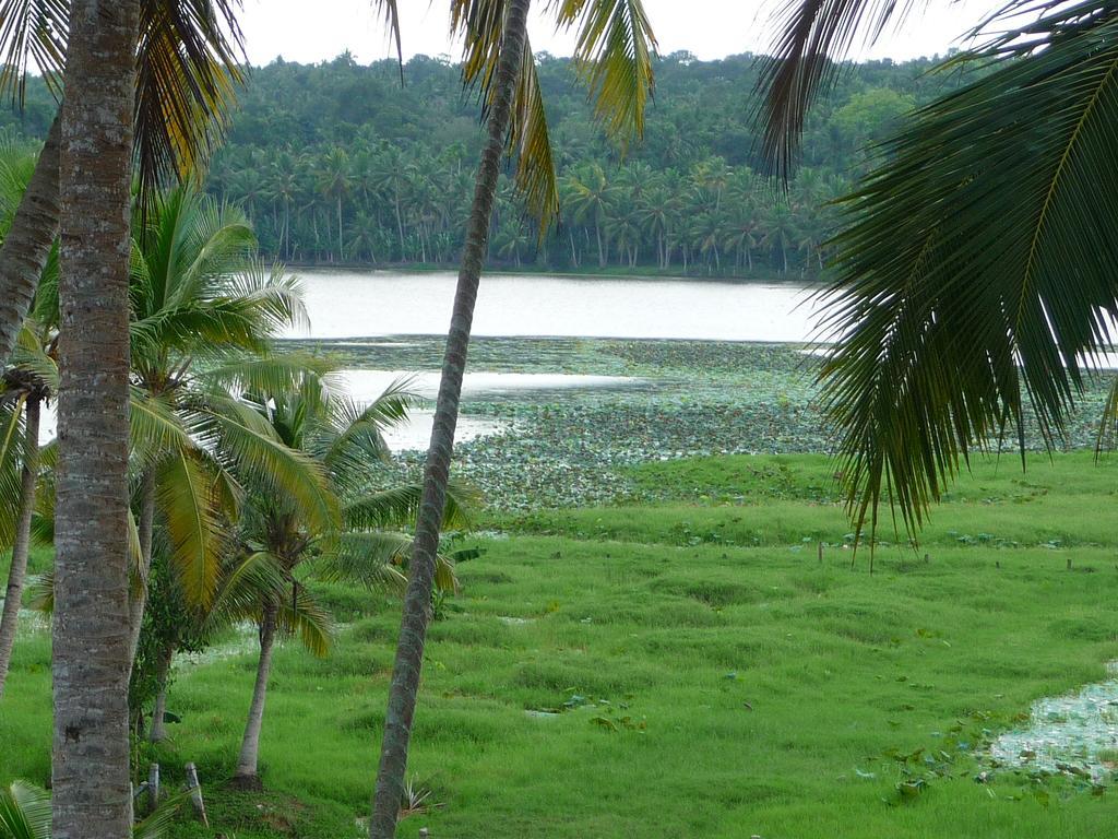 Ganesh Ayurveda Holiday Home Bed And Breakfast Kovalam Exterior photo