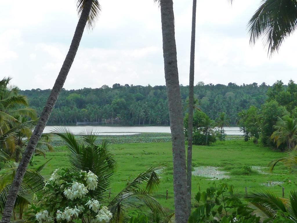 Ganesh Ayurveda Holiday Home Bed And Breakfast Kovalam Exterior photo